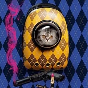 Hardshell Argyle backpack - officially licensed